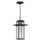 Quoizel Randall 1-Light Mottled Black Mini Pendant RDL1509MB - alternate 6